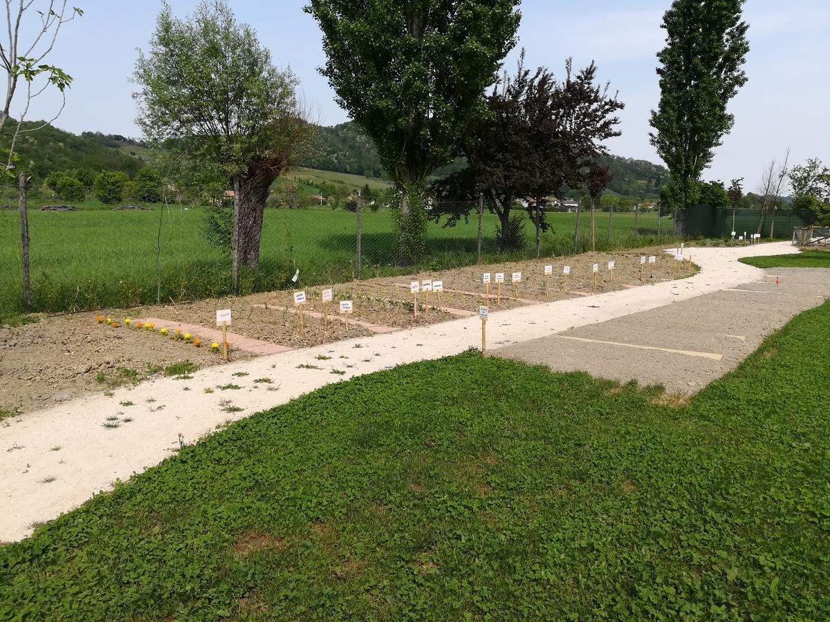Casa In Campagna Villa Torreglia Buitenkant foto